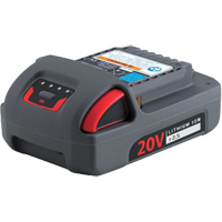 IQV20 Series Battery, Lithium-Ion, 20 V, 2.5 Ah Waymarc Industries Inc