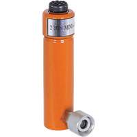 V&eacute;rins hydrauliques, Course de 3", Capacit&eacute; de 2 tonne(s) Waymarc Industries Inc