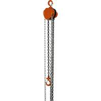 VHC Series Chain Hoists, 10' Lift, 1100 lbs. (0.5 tons) Capacity, Alloy Steel Chain UAW085 | Waymarc Industries Inc