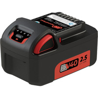 Battery, Lithium-Ion, 40 V Waymarc Industries Inc