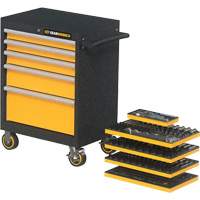 Mechanics Tool Set in Modular Foam Trays with Storage Unit, 247 Pieces Waymarc Industries Inc