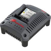 IQV20 Compact Battery Charger, 20 V, Lithium-Ion Waymarc Industries Inc