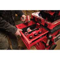 Diviseur pour boîtes &agrave; outils &agrave; tiroirs Packout Waymarc Industries Inc