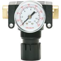 MODULAIR 200 Acetal Piston Regulator, 1/4" NPT, 150 PSI Max. PSI, In Line/Modular Waymarc Industries Inc