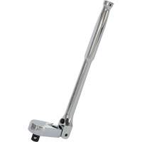 Rochet &agrave; t&ecirc;te flexible verrouillable JSHR-12F &agrave; 108 dents Waymarc Industries Inc