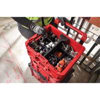 Bac &agrave; profil bas PACKOUT, 15" x 18-5/8" x 6-5/8", Noir/Rouge Waymarc Industries Inc