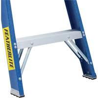 Industrial Duty Stepladders (6300 Series), 4', Fibreglass, 250 lbs. Capacity, Type 1 Waymarc Industries Inc