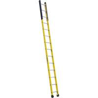 Single Manhole Ladder, 14', Fibreglass, 375 lbs., CSA Grade 1AA VD465 | Waymarc Industries Inc