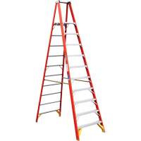 Platform Ladder, 10', 300 lbs. Cap. VD528 | Waymarc Industries Inc