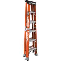 Step Ladder, 6', Fibreglass, 375 lbs. Capacity, Type 1AA Waymarc Industries Inc