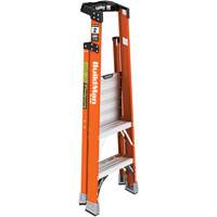 Safespace Platform Step Ladder, 2', 300 lbs. Cap. Waymarc Industries Inc