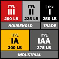 Step Ladder with Paint Tray, 10', Aluminum, 225 lbs. Capacity, Type 2 Waymarc Industries Inc