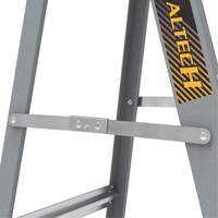 Step Ladder with Paint Tray, 6', Fibreglass, 225 lbs. Capacity, Type 2 Waymarc Industries Inc