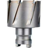 Fraise avec tenon &agrave; changement rapide Drive Hawg, Diam&egrave;tre de 2", Acier, Profondeur de la coupe de 1" Waymarc Industries Inc