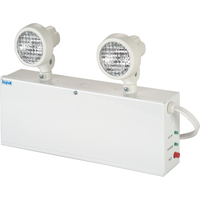 Lampes de secours Nova, Acier, Incandescente, 120 V - 347 V Waymarc Industries Inc