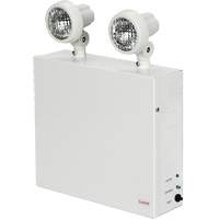 Lampes de secours Nova, Acier, DEL, 120 V - 347 V Waymarc Industries Inc