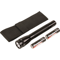 Lampes de poche Mini, Incandescente, 14 lumens, Piles AA Waymarc Industries Inc