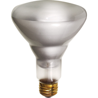 Economy Line Incandescent Lamps XC567 | Waymarc Industries Inc