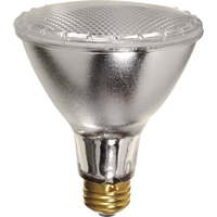 Economy Line Lamps Waymarc Industries Inc