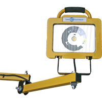 Heavy-Duty Dock Light, 40" Arm, 38 W, LED Lamp, Metal Waymarc Industries Inc