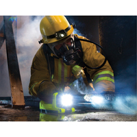 Lanterne, DEL,  Lumens, Piles C Waymarc Industries Inc