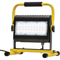 Flood Light, LED, 50 W, 4800 Lumens, Aluminum Housing Waymarc Industries Inc