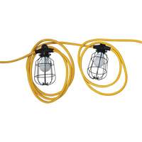 Chaînes de lumi&egrave;res DEL, 10 Lumi&egrave;res, 1200" lo, Boîtier en M&eacute;tal Waymarc Industries Inc