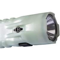 Lampe de poche, DEL, 378 lumens, Piles AA Waymarc Industries Inc