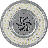 Lampe haute luminosité Ultra LED<sup>MC</sup>, DHI, 80 W, 10800 lumens, base Mogul XI562 | Waymarc Industries Inc