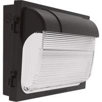 TWX Wall Luminaire, LED, 480 V, 9 W - 54 W, 14" H x 18" W x 5" D XI974 | Waymarc Industries Inc