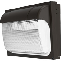 Contractor Select™ TWX ALO Adjustable Light Output Wall Pack, LED, 120 - 277 V, 54 W, 9" H x 13" W x 4.5" D XJ024 | Waymarc Industries Inc