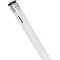 SubstiTUBE<sup>®</sup> Frosted Glass LED Bulb, 12 W, T8, 5000 K, 48" L XJ097 | Waymarc Industries Inc