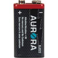 Industrial Alkaline Batteries, 9 V XJ222 | Waymarc Industries Inc