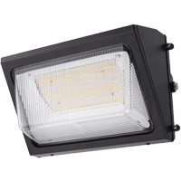Wall Pack Light Fixture, LED, 120 -347 V, 80 W Waymarc Industries Inc