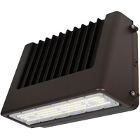Wall Pack Light Fixture, LED, 120 V, 80 W, 6.5" H x 9.3" W x 14.4" D Waymarc Industries Inc