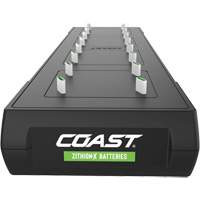 Poste de charge Zithion-X ZXCS16   Waymarc Industries Inc