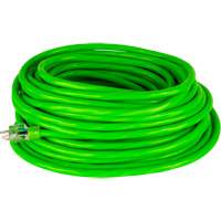 Industrial Extension Cord, All-Weather, SJTW, 10/3 AWG, 15 A, 50' Waymarc Industries Inc